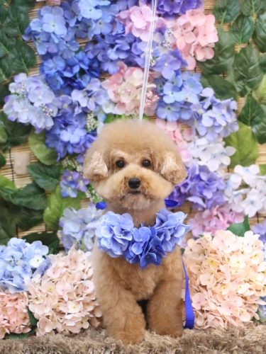 20250615かんたくん